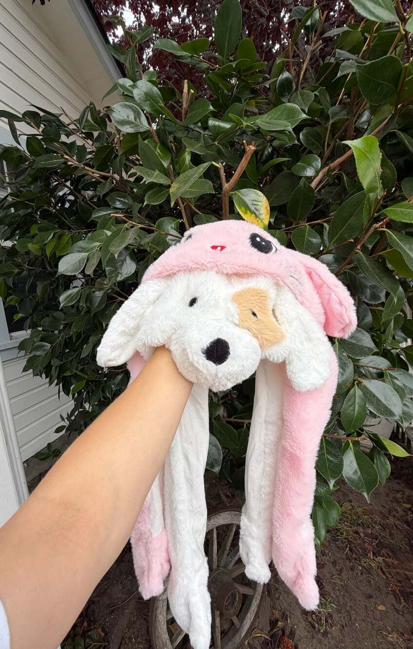 Kids Reversible Plush Puppy and Bunny Moving Ear Hat Animal Novelty Caps